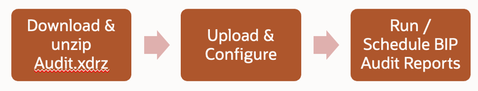 BIP Audit Reports Config Process