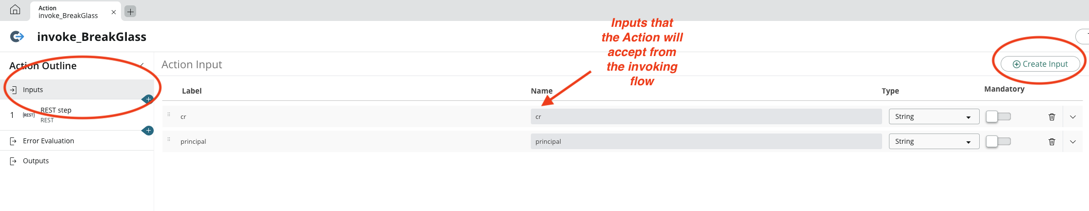 Break-Glass Action input