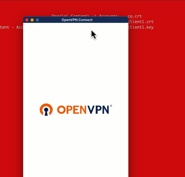 OpenVPN Client