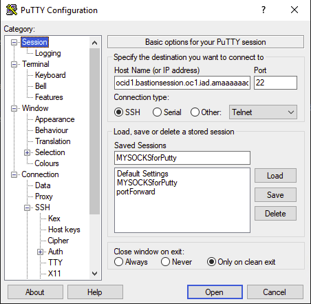 Putty Session Screen