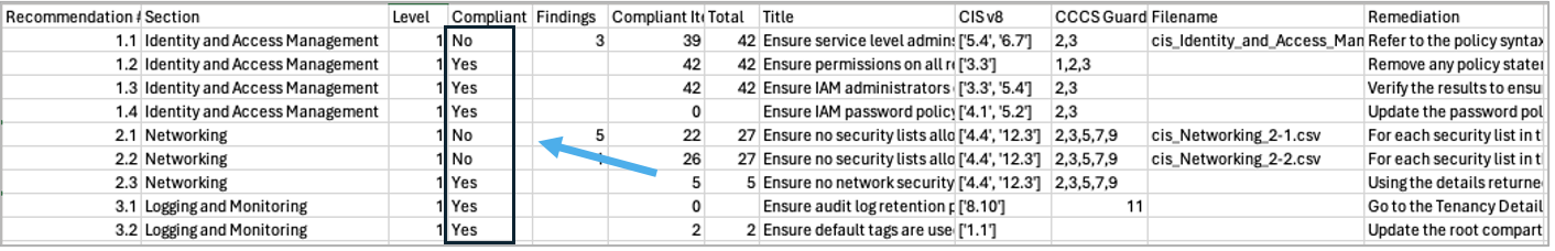 CIS Summary CSV report