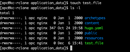 New file added via terminal